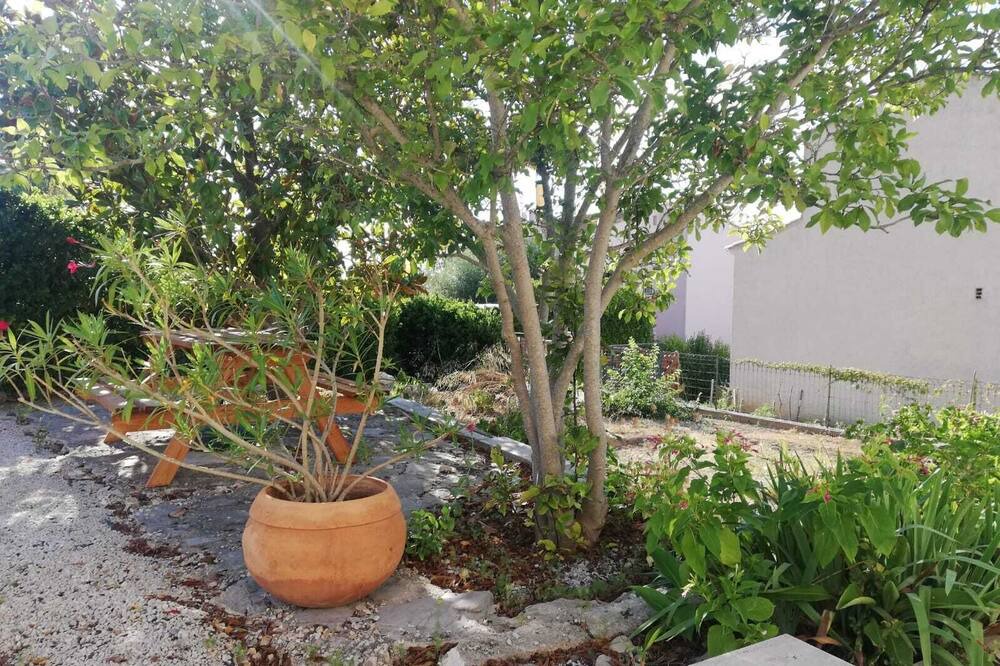 Photo of Outdoor in Pignan