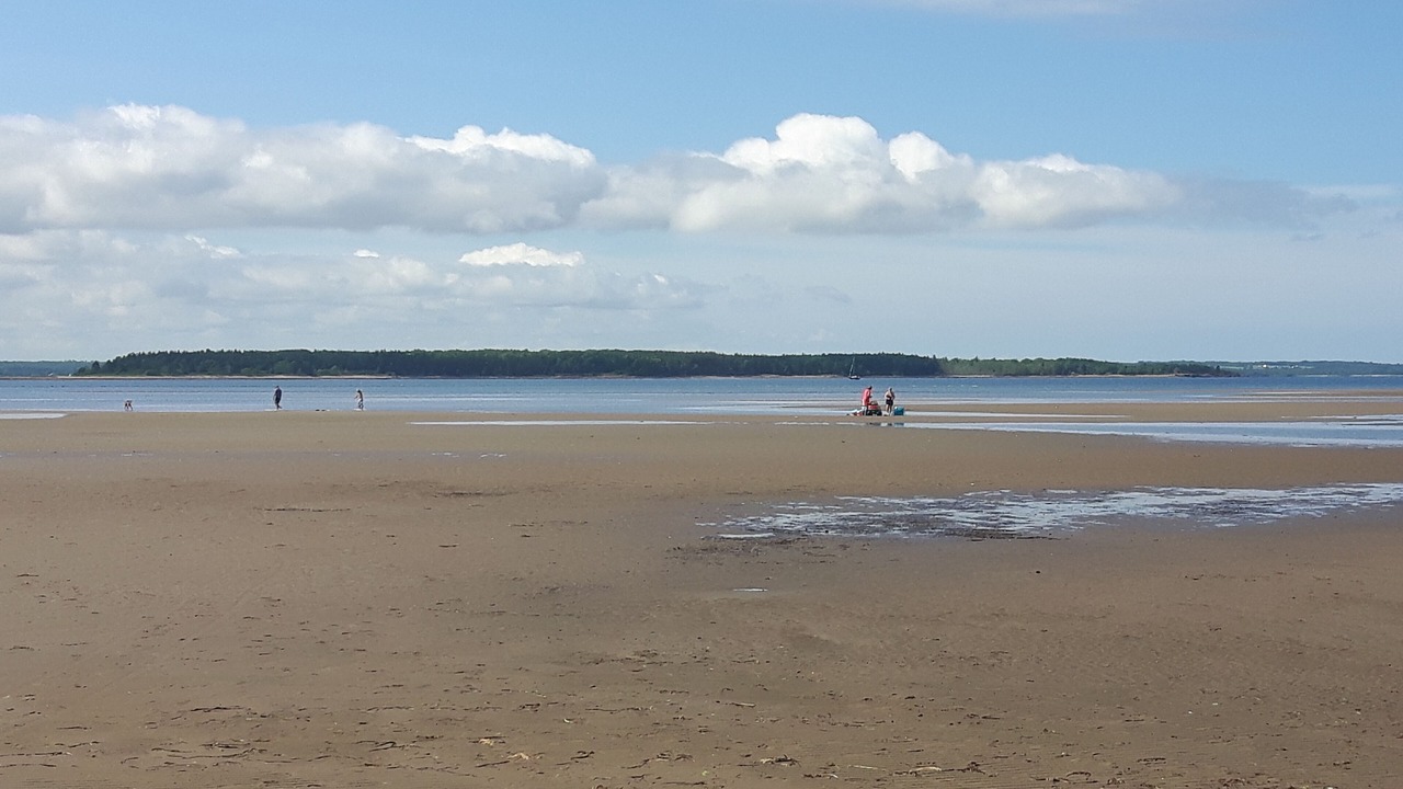 Photo of Others in Pointe-du-Chene