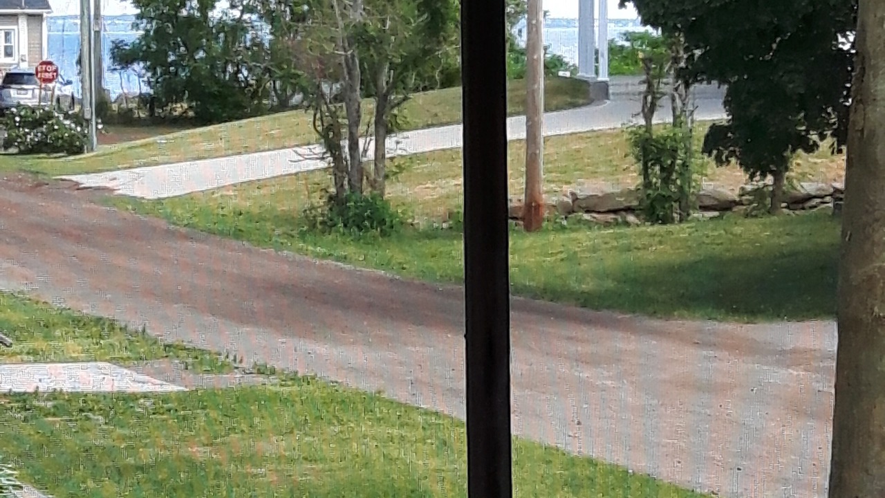 Photo of Outdoor in Pointe-du-Chene