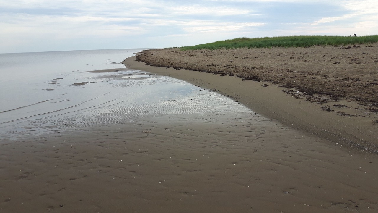Photo of Others in Pointe-du-Chene