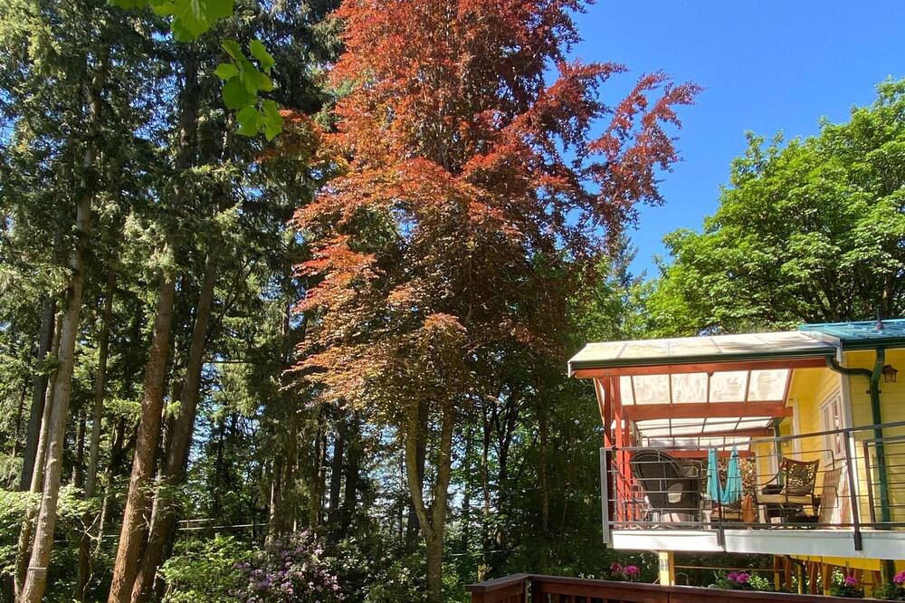 Photo of Others in East Renton Highlands