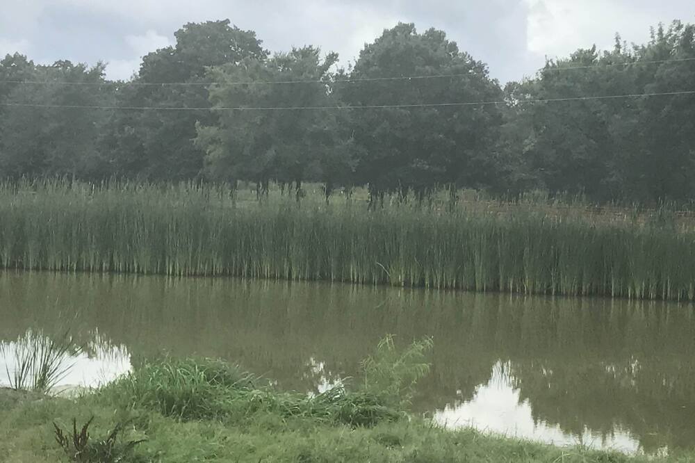 Photo of Outdoor in Beggs