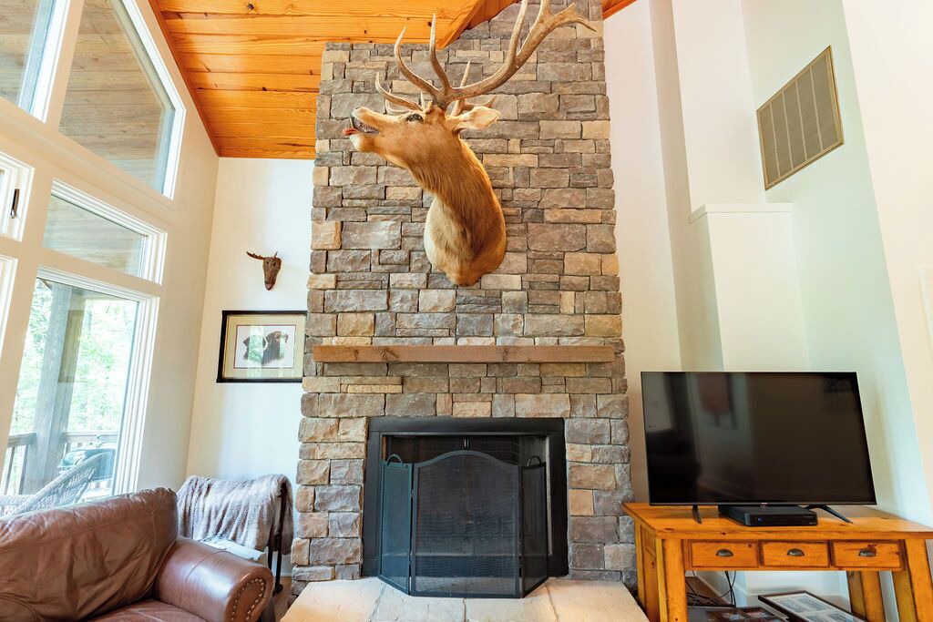Photo of Livingroom in Drasco