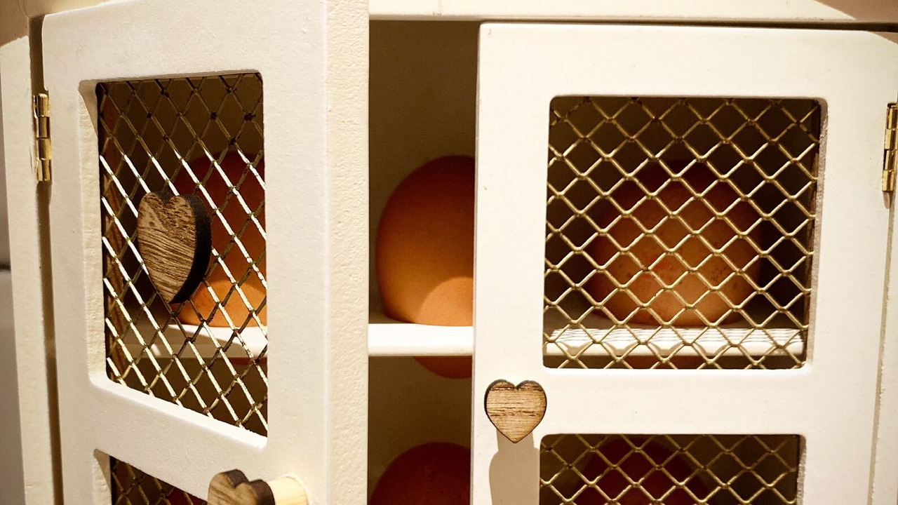 Photo of Kitchen in Knockbain