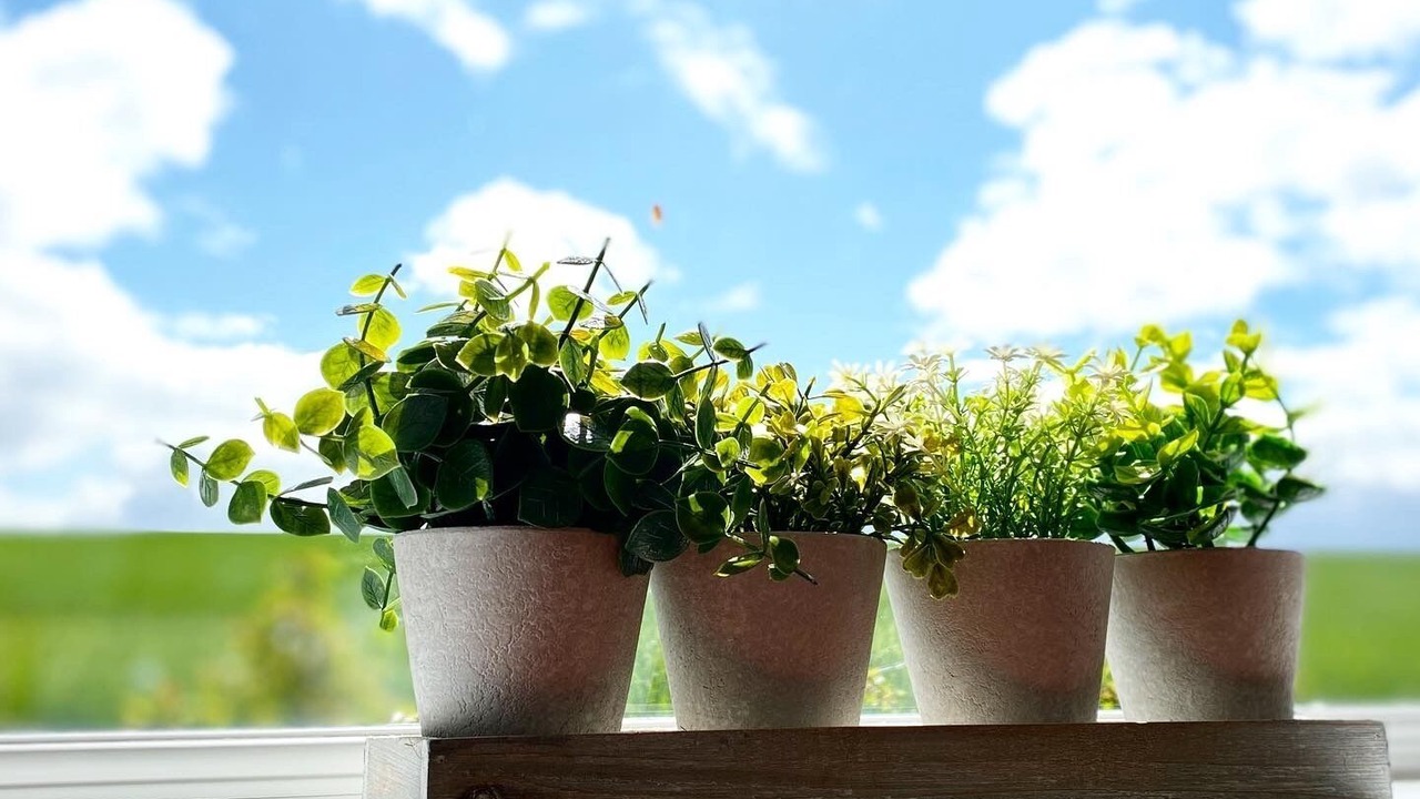 Photo of Kitchen in Knockbain