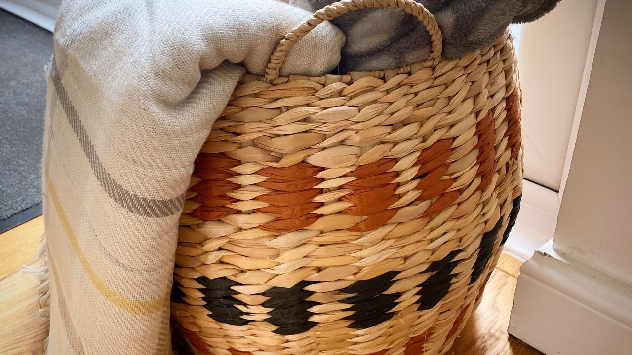 Photo of Others in Knockbain