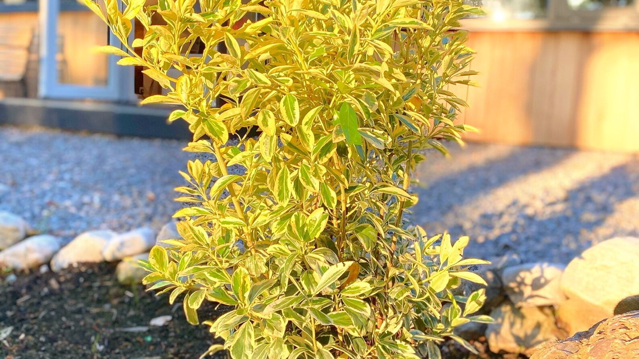 Photo of Outdoor in Knockbain