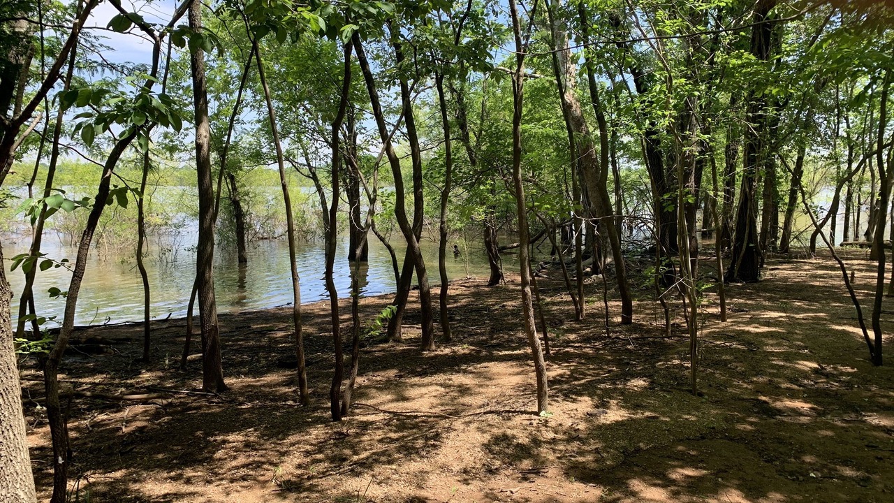 Photo of Outdoor in Grove