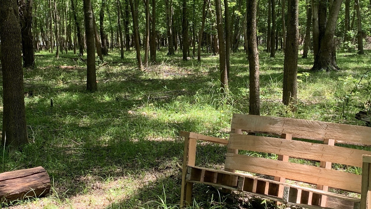 Photo of Outdoor in Grove