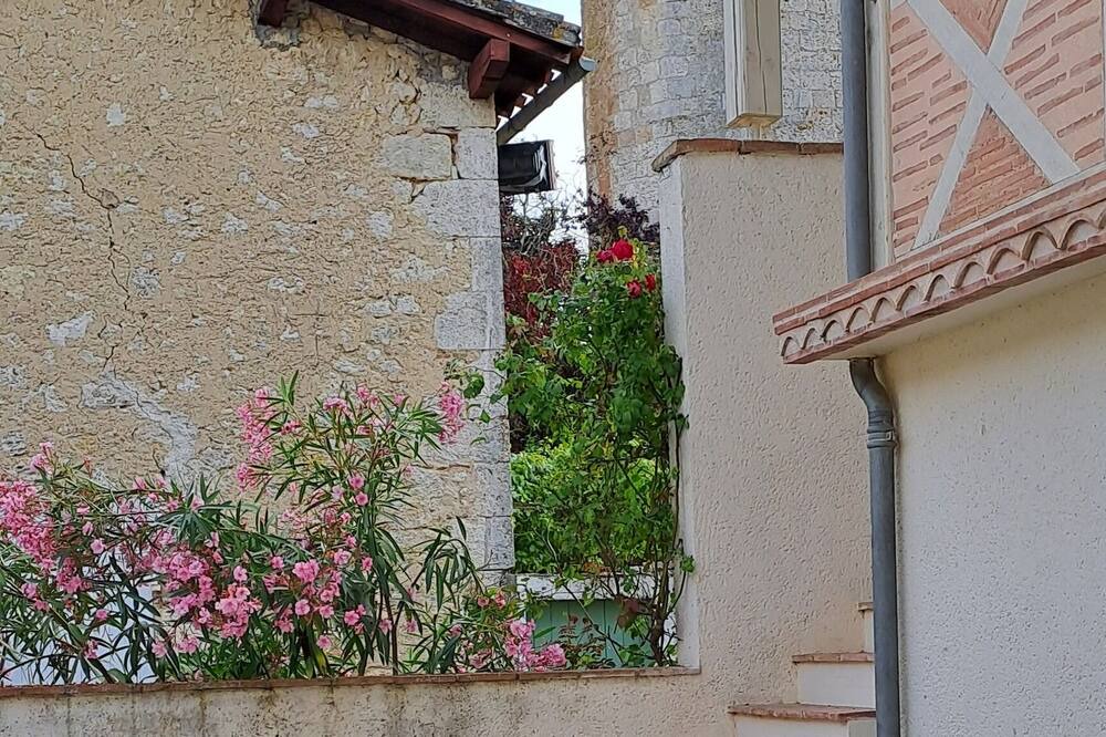 Photo of Outdoor in Saint-Clar