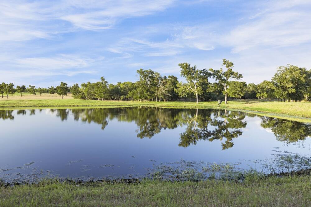 Photo of Outdoor in Dale