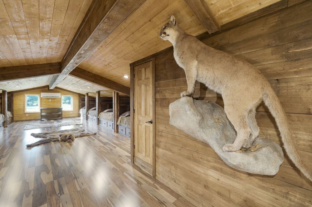 Photo of Bedroom in Dale