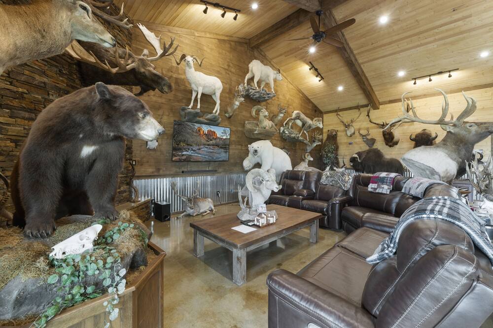 Photo of Livingroom in Dale