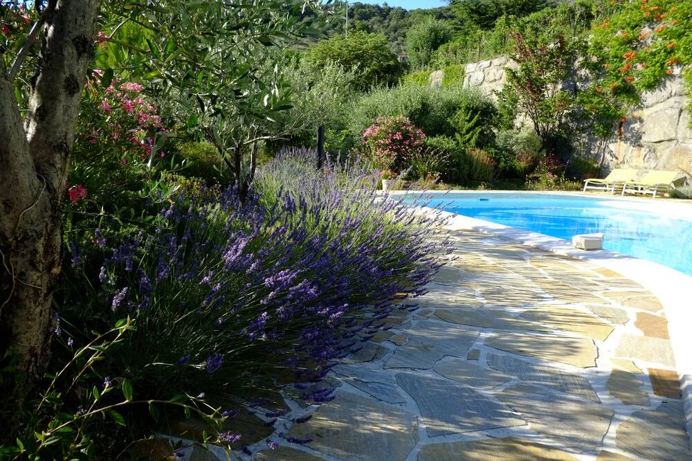 Photo of Outdoor in Saint-Sauveur-de-Cruzieres