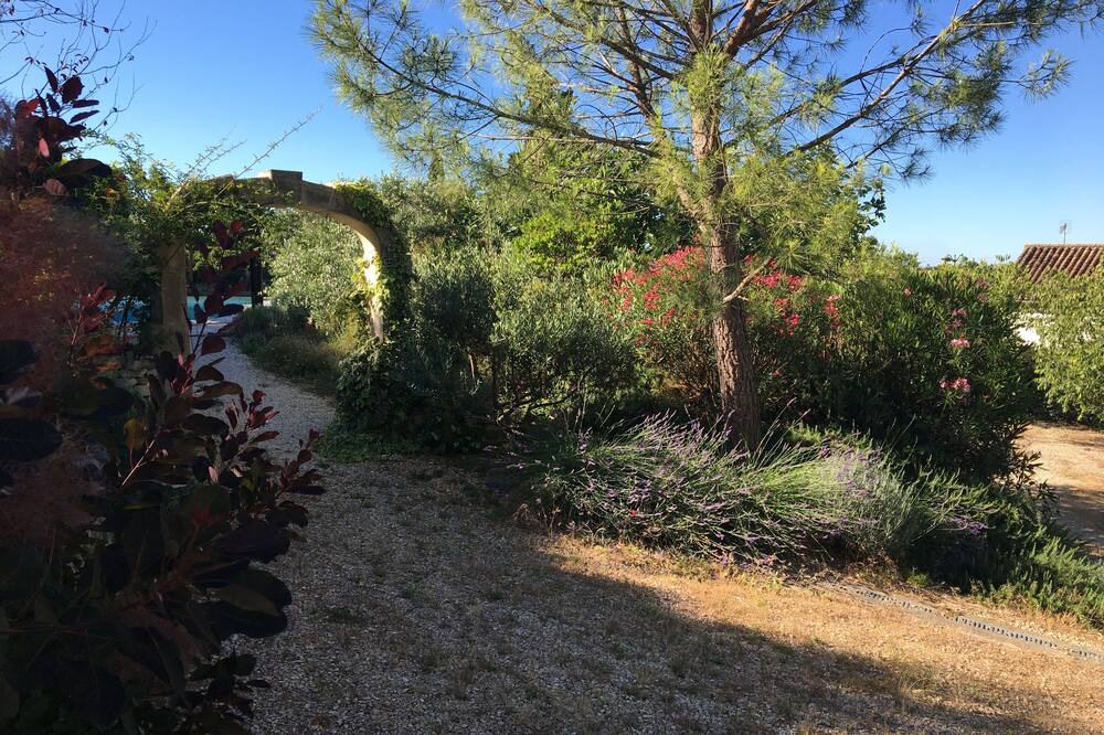 Photo of Outdoor in Saint-Sauveur-de-Cruzieres