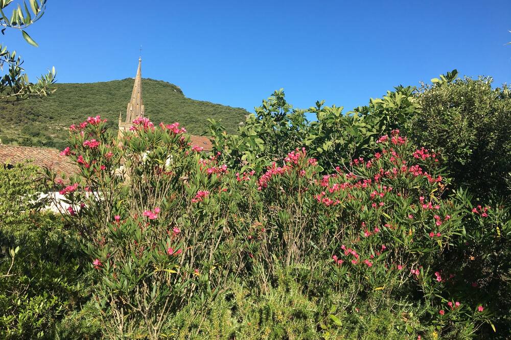 Photo of Outdoor in Saint-Sauveur-de-Cruzieres
