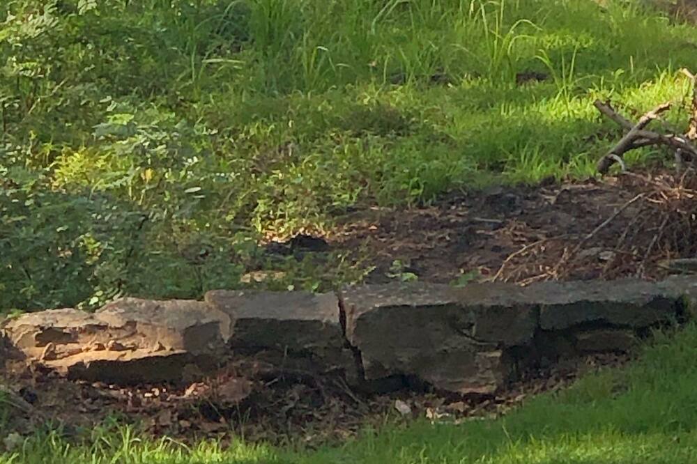 Photo of Outdoor in Hoyt
