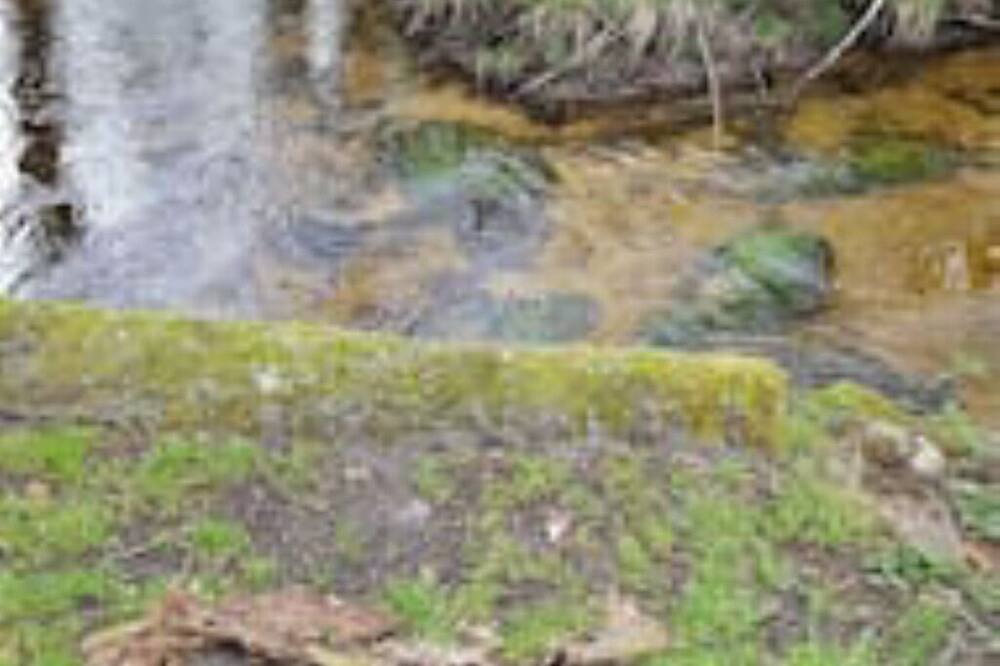 Photo of Outdoor in Crocq