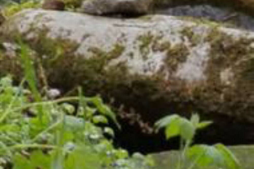 Photo of Outdoor in Crocq