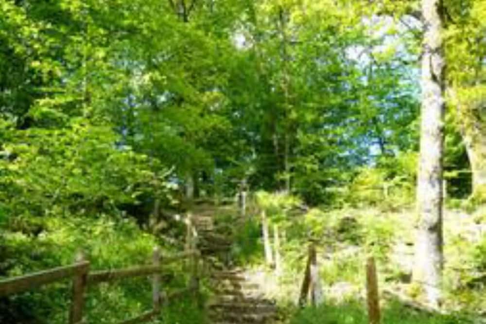 Photo of Outdoor in Crocq