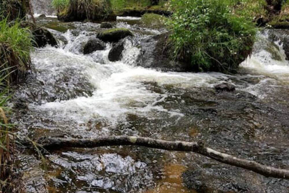 Photo of Outdoor in Crocq