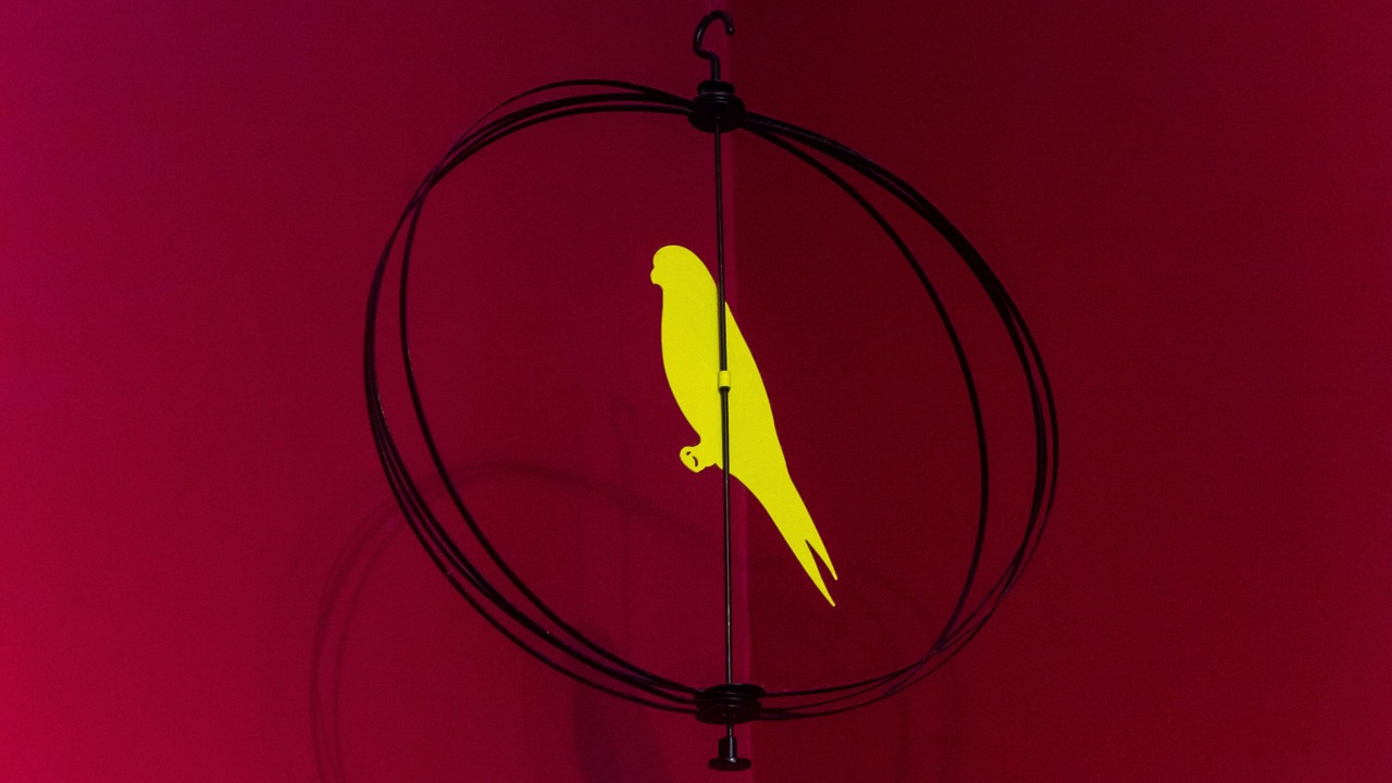 Photo of Others in Old Town