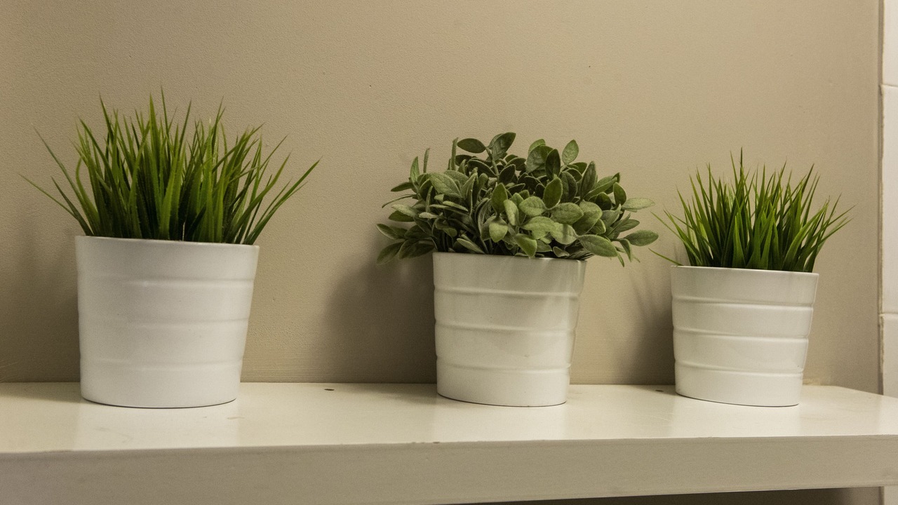 Photo of Others in Old Town