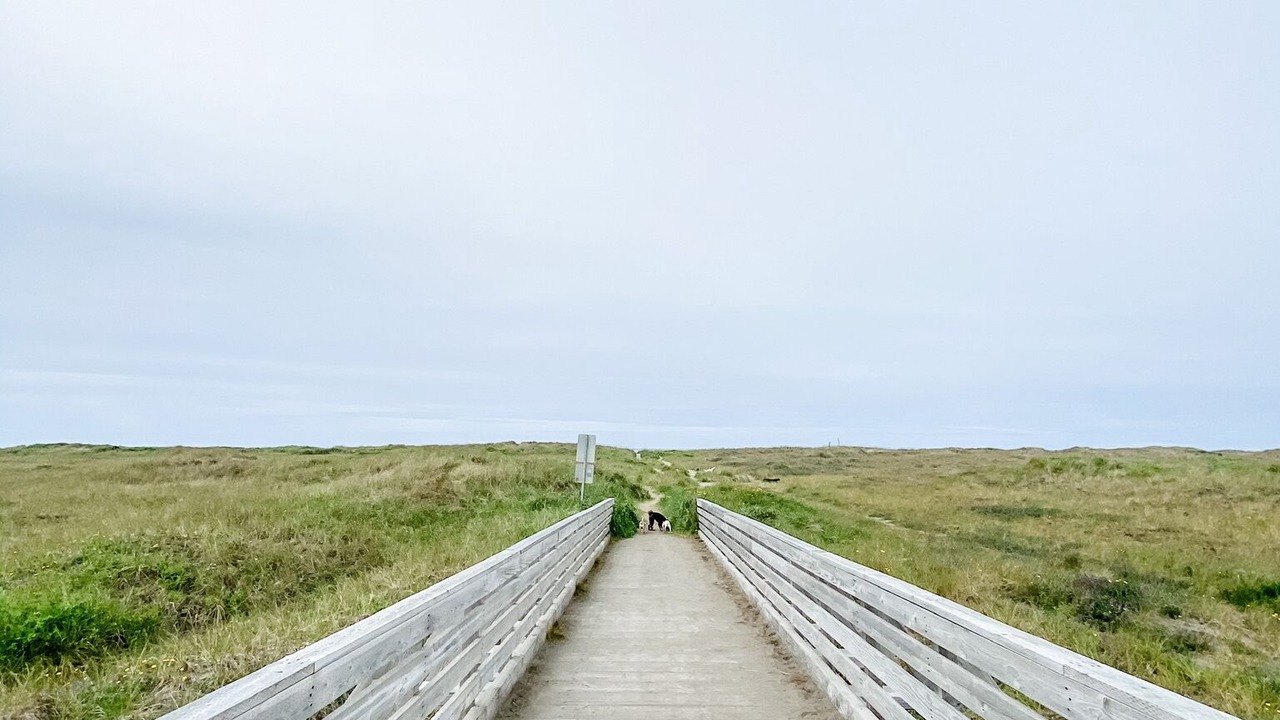 Photo of Others in Copalis Beach