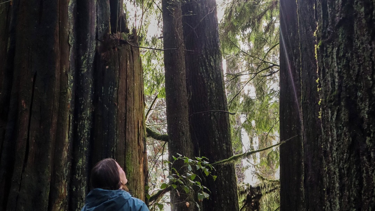 Photo of Outdoor in Copalis Beach