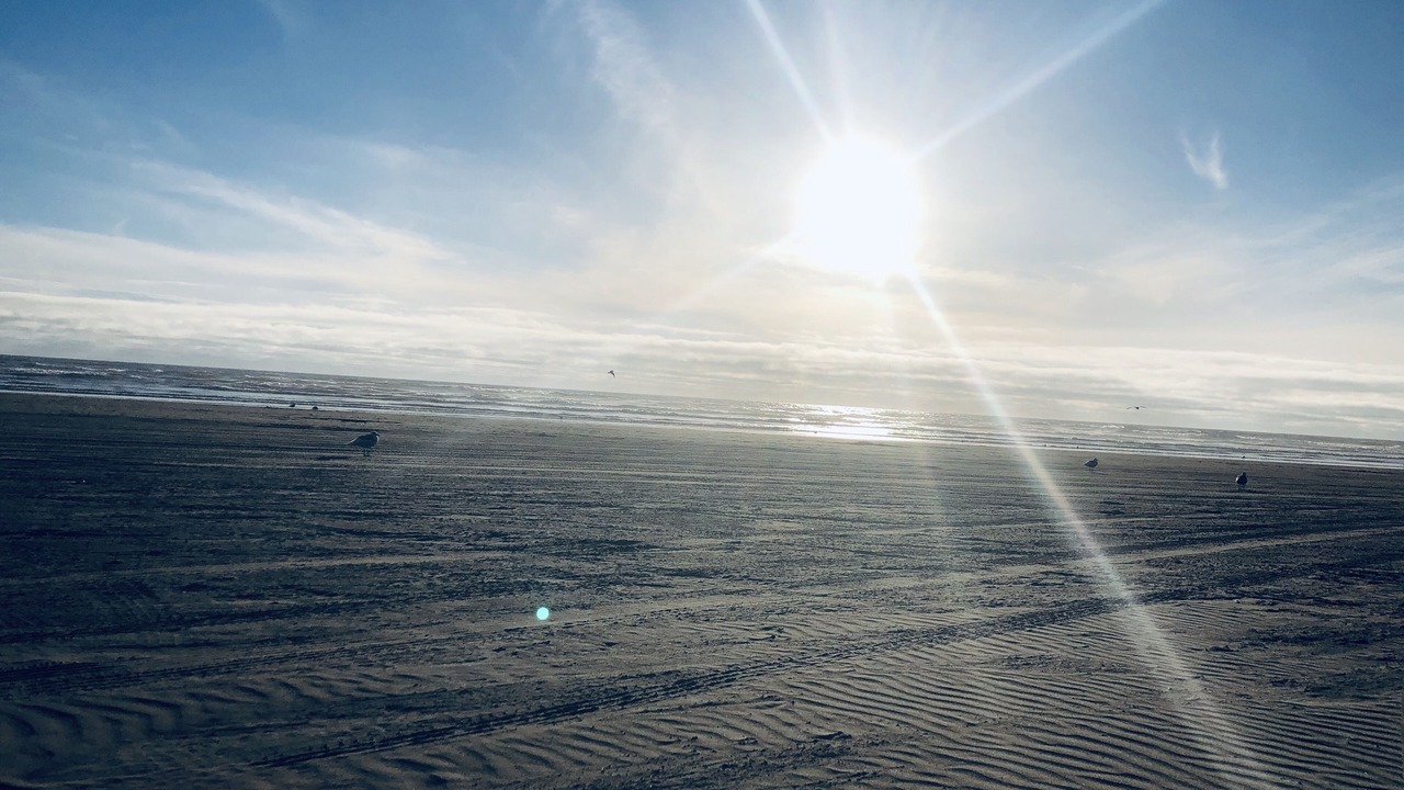 Photo of Others in Copalis Beach