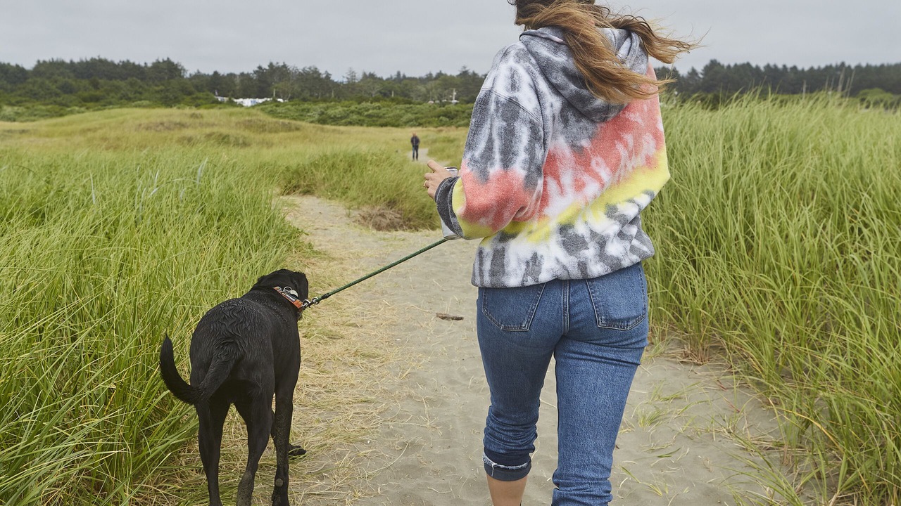 Photo of Others in Copalis Beach