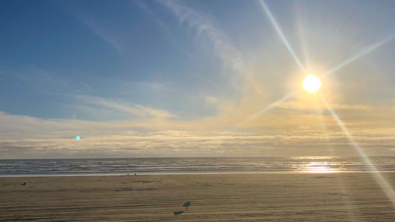 Photo of Others in Copalis Beach