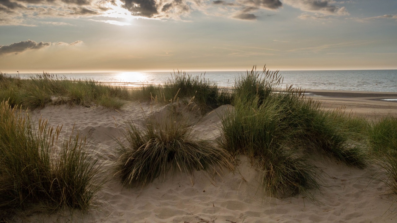 Photo of Others in Copalis Beach
