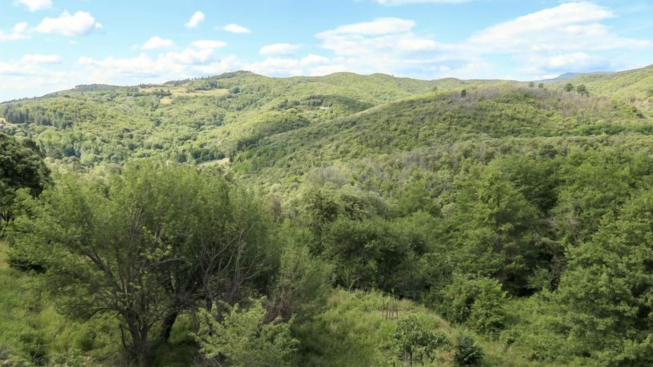 Photo of Outdoor in Saint-Jean-du-Gard