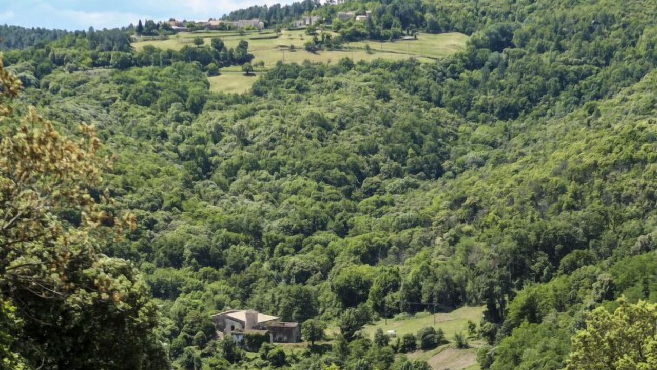 Photo of Outdoor in Saint-Jean-du-Gard