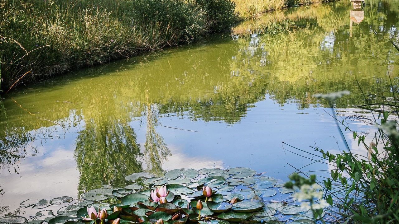 Photo of Outdoor in Boussac-Bourg