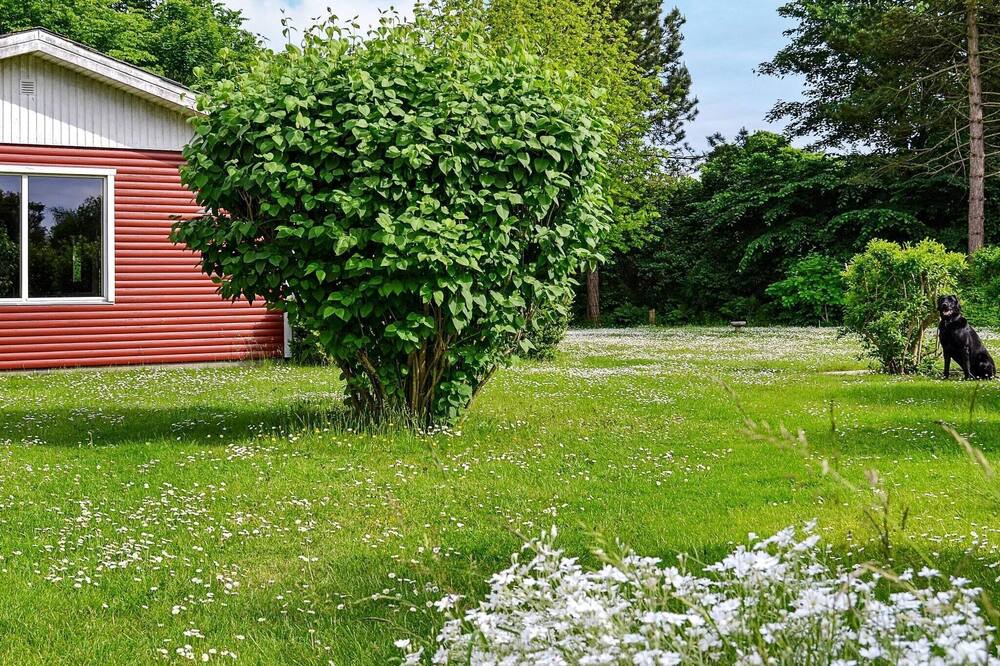 Photo of Outdoor in Nibe