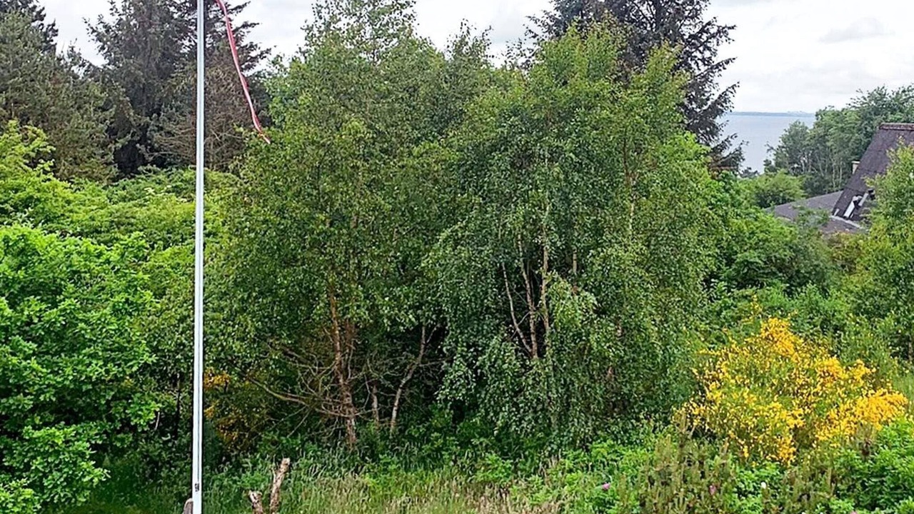 Photo of Outdoor in Sallingsund