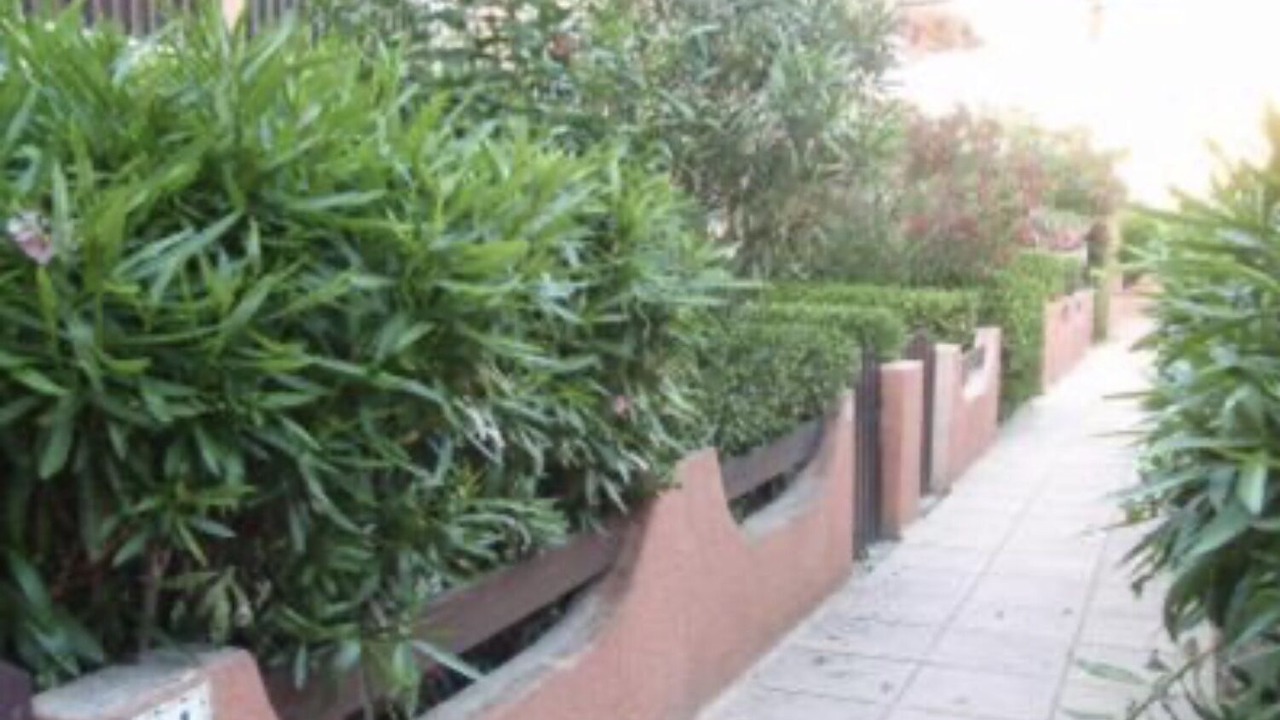 Photo of Outdoor in Les Arenes