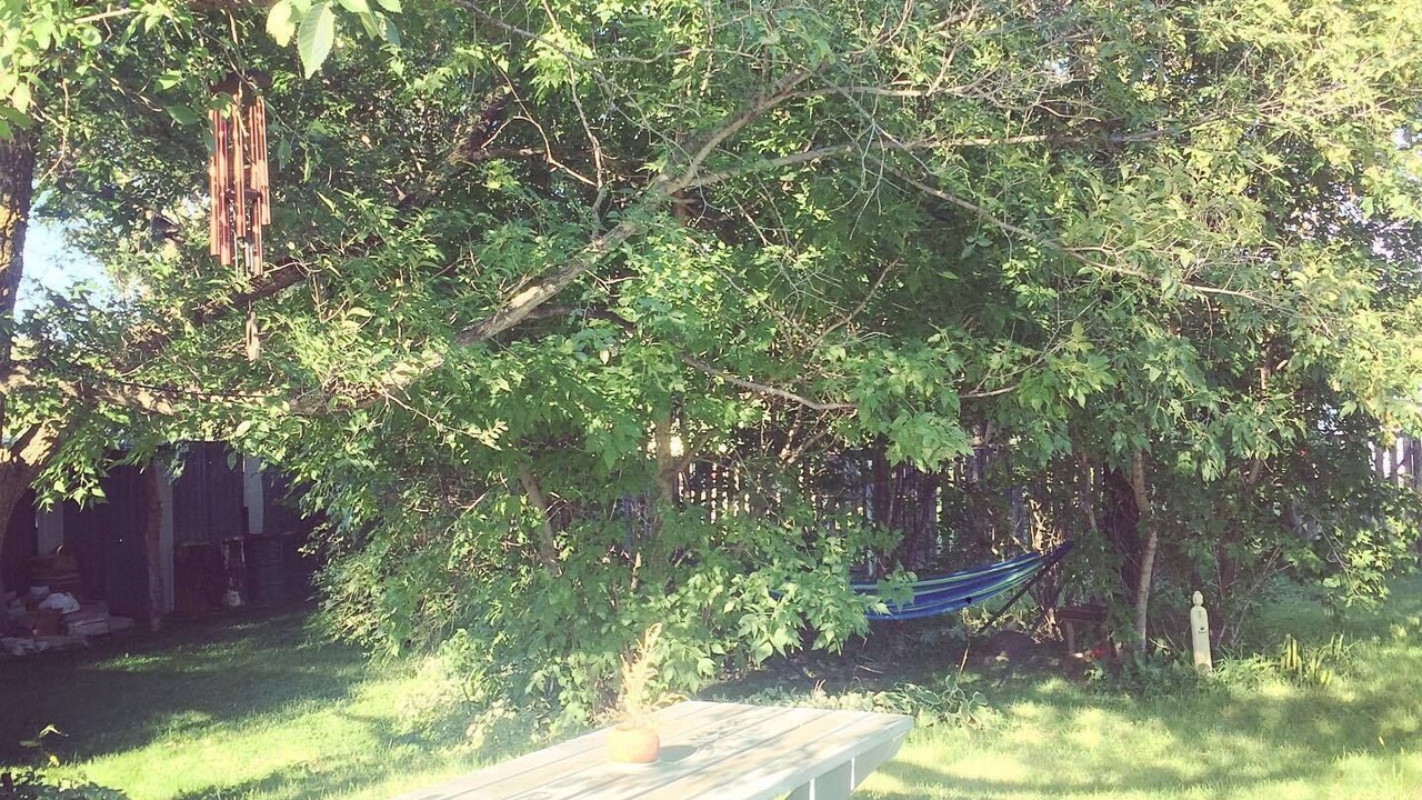 Photo of Outdoor in Hewitt