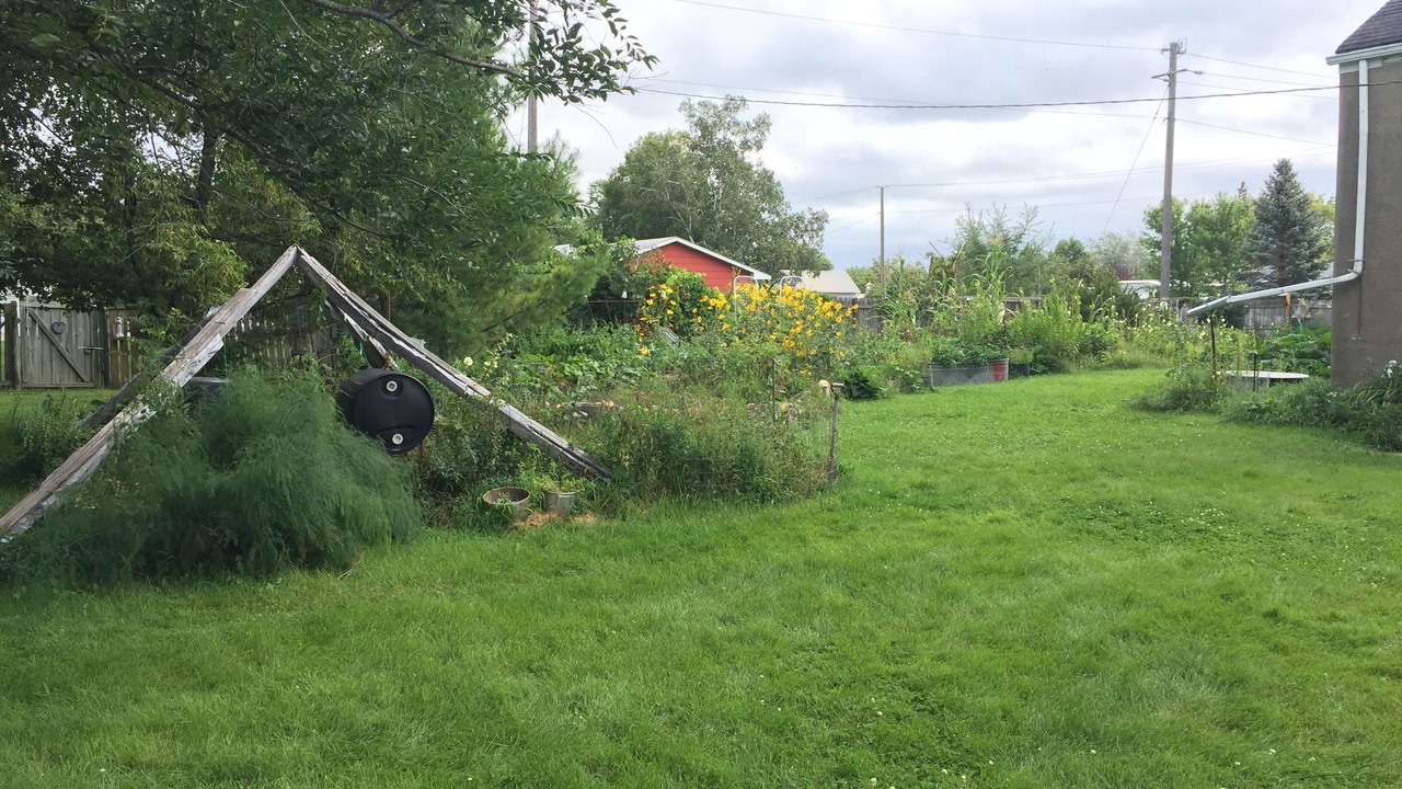 Photo of Outdoor in Hewitt