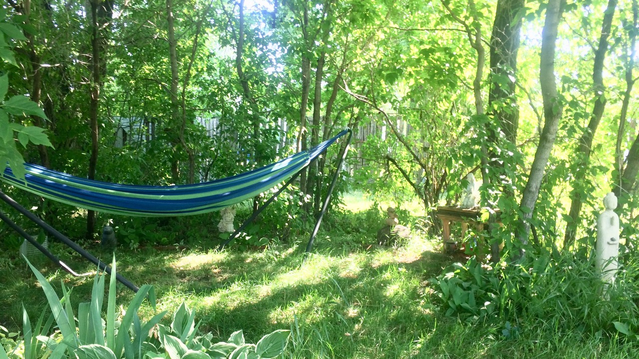 Photo of Outdoor in Hewitt