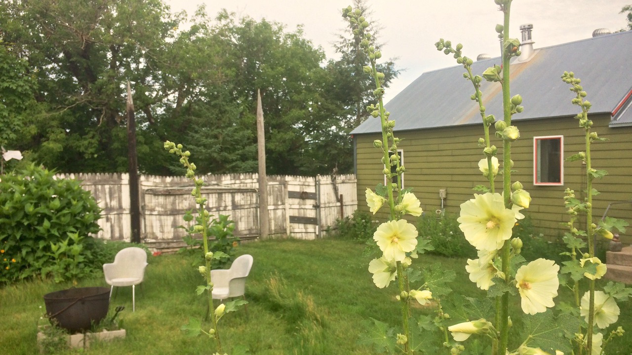 Photo of Outdoor in Hewitt