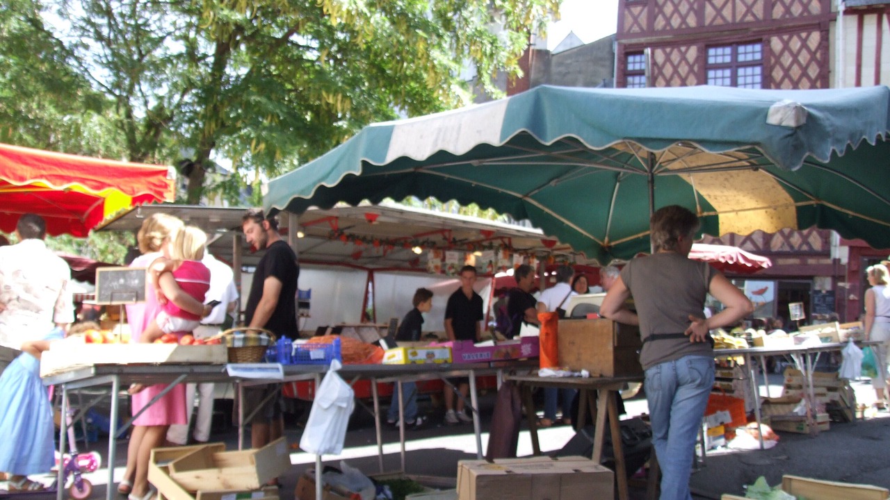Photo of Outdoor in Saumur