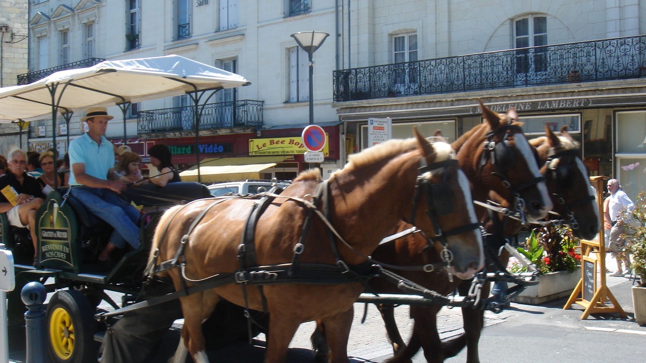 Photo of Others in Saumur