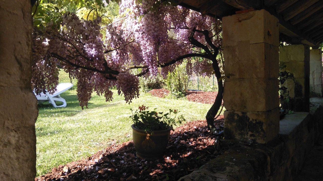 Photo of Outdoor in Saumur
