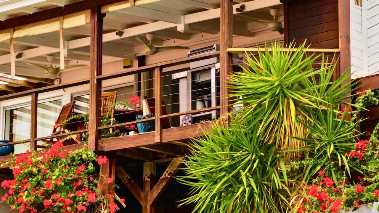 Photo of Others in Oyster Pond