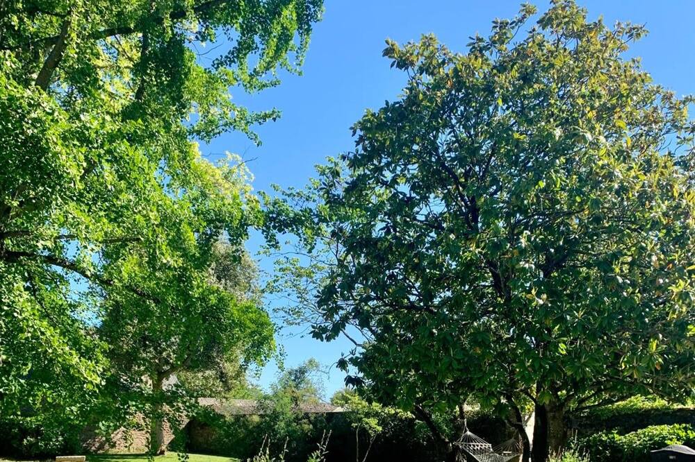 Photo of Outdoor in Saint-Samson-sur-Rance