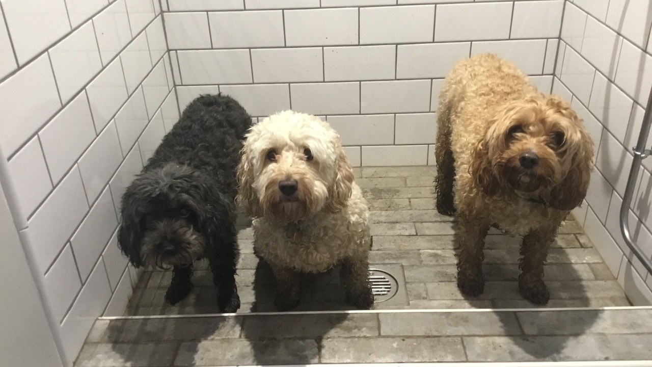 Photo of Others in Dursley