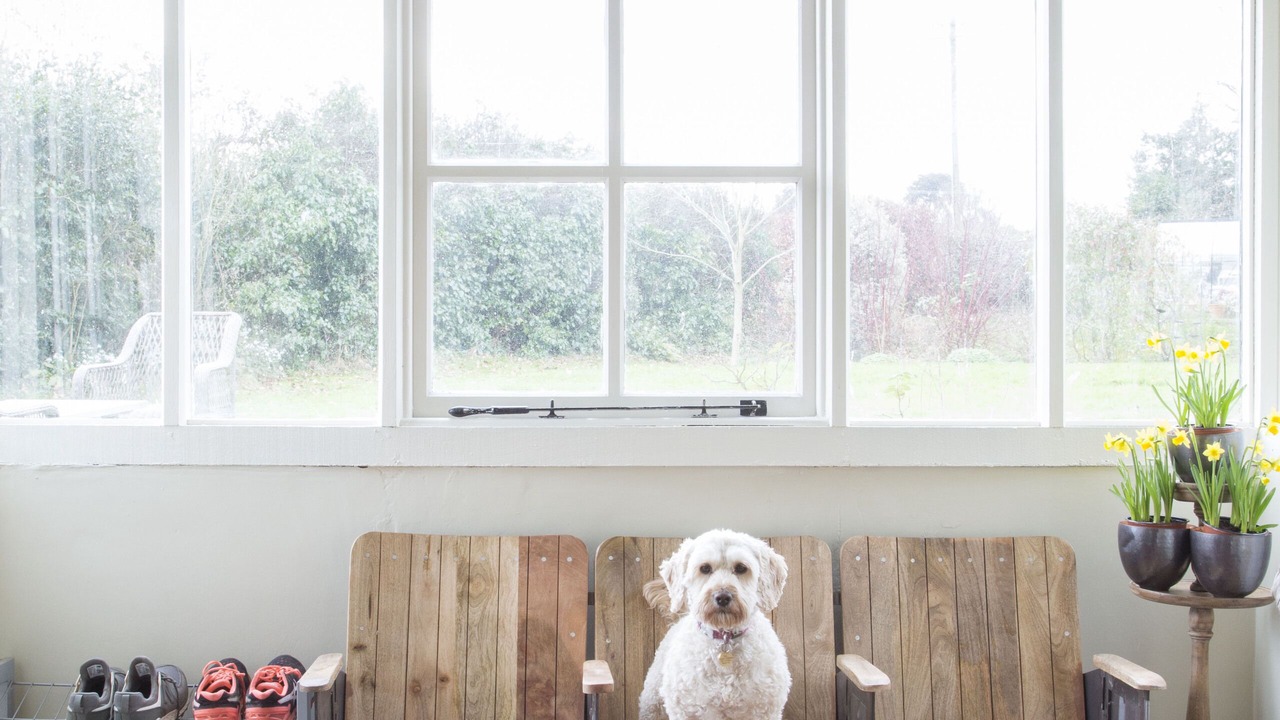 Photo of Others in Dursley